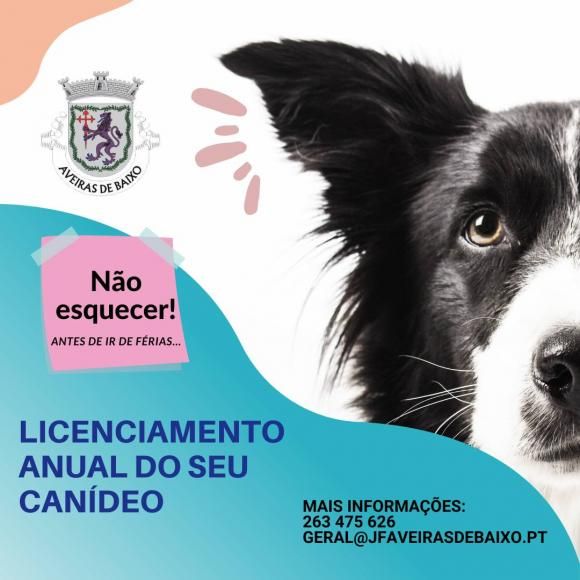 Licenciamento Anual dos Canídeos