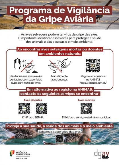 Programa de vigil&acirc;ncia da Gripe Avi&aacute;ria - DGAV