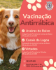 Vacina&ccedil;&atilde;o Antirr&aacute;bica - Locais e horas