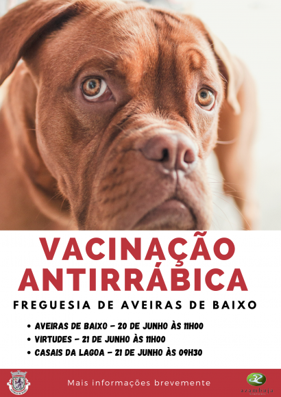 Vacinação Antirrábica 