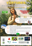 Festa em Honra de Santa Maria das Virtudes