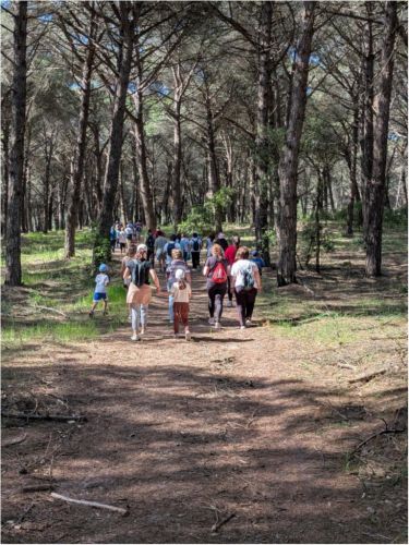 Caminhada 25 de abril pela Mata das Virtudes