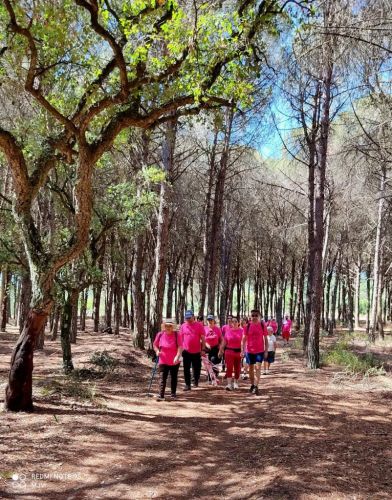8ª Caminhada da Espinha em Casais da Lagoa 
